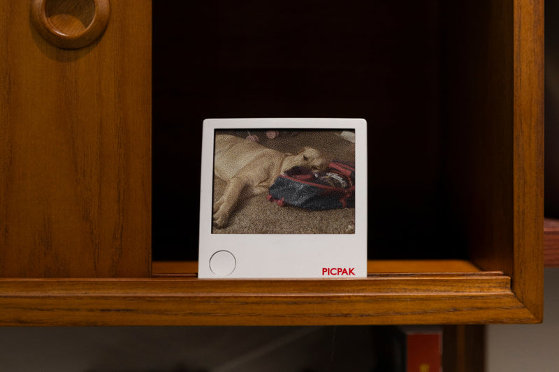 Polaroid-style photo of a dog on a wooden shelf with 'PICPAK' branding.