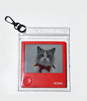 PicPak Transparent Carry Bag