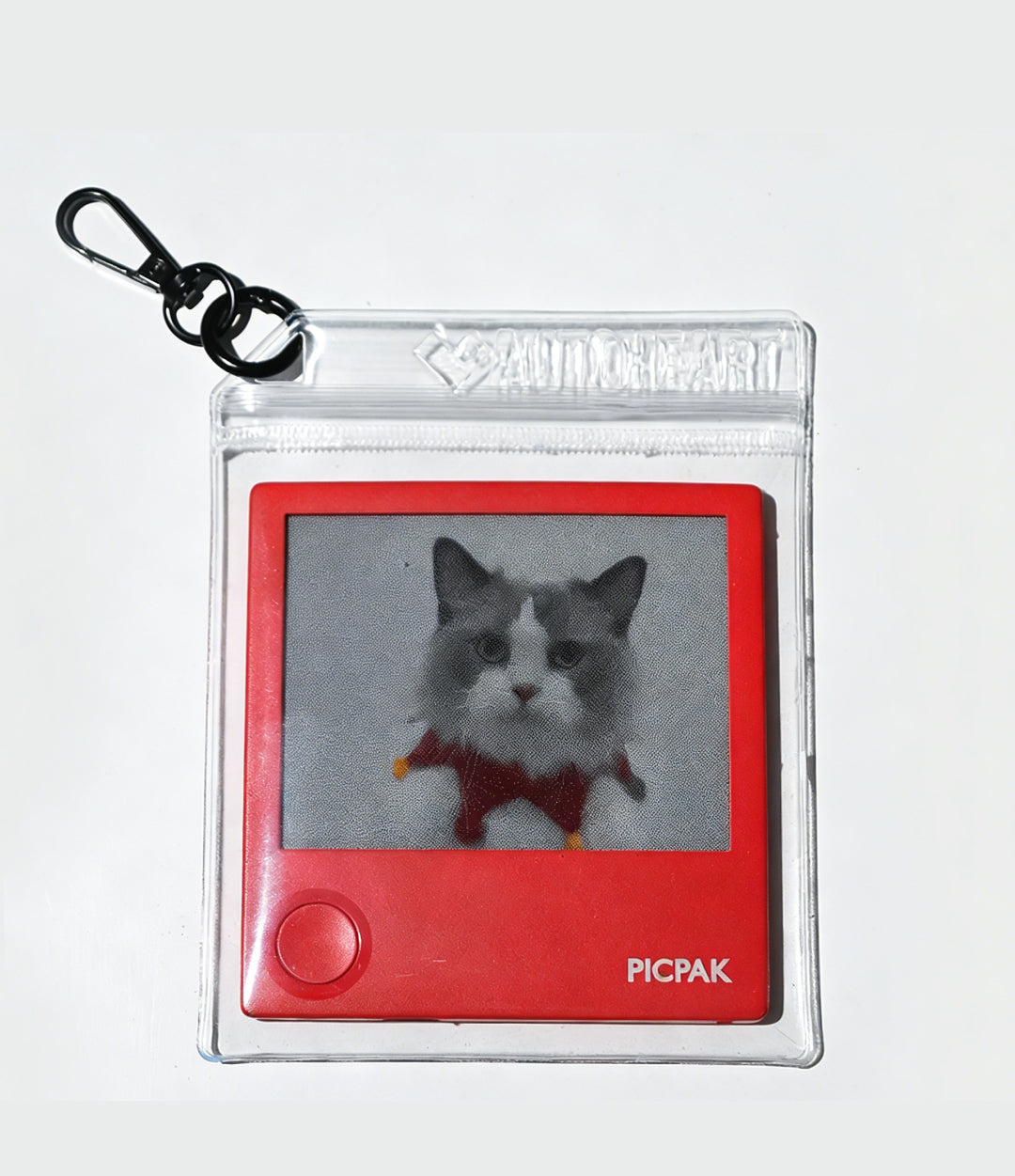 PicPak Transparent Carry Bag