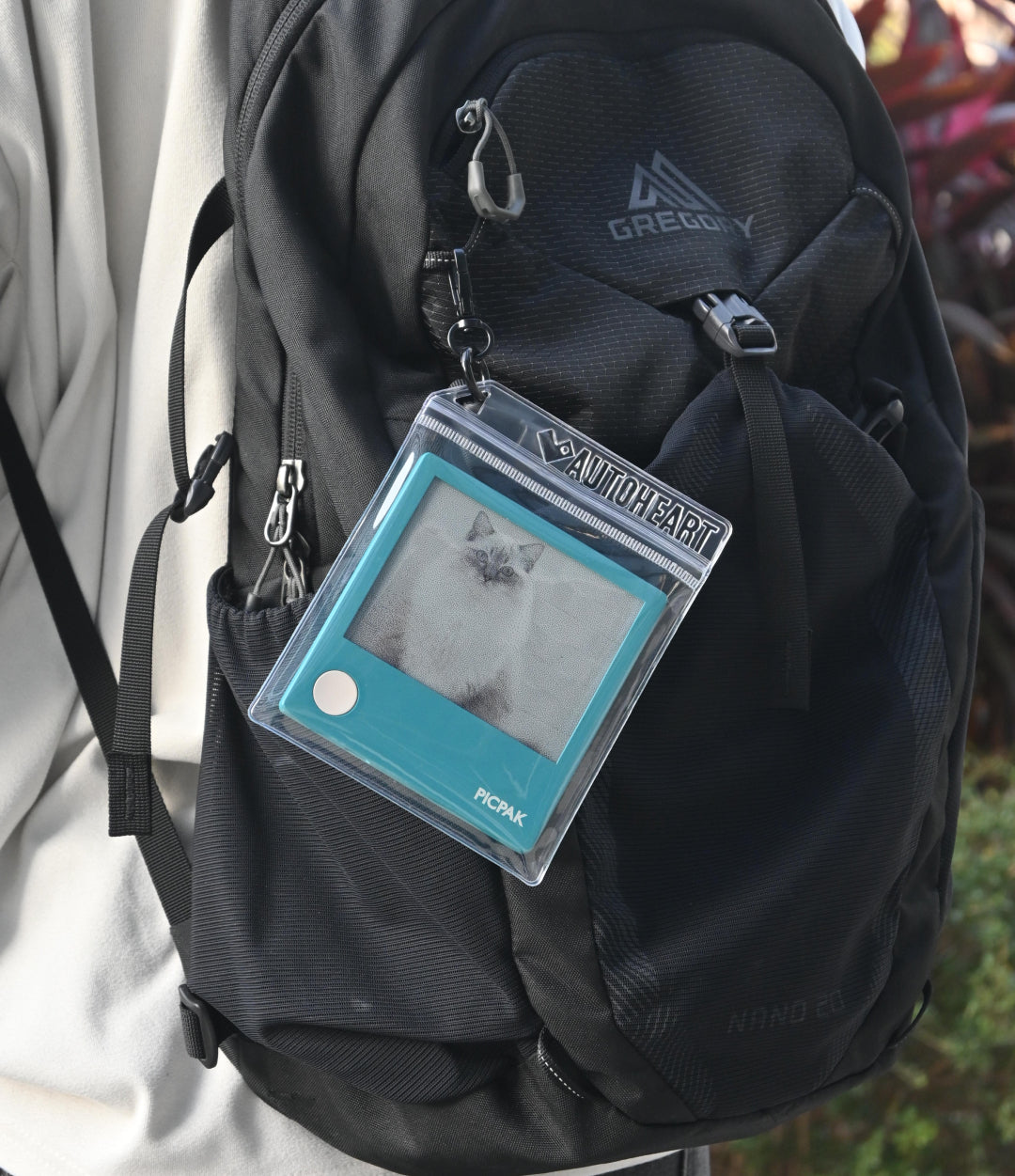 PicPak Transparent Carry Bag