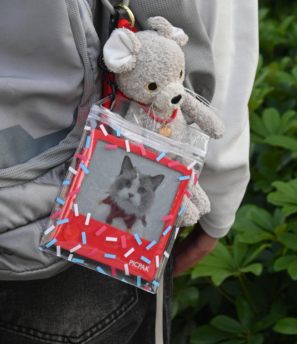 PicPak Transparent Carry Bag