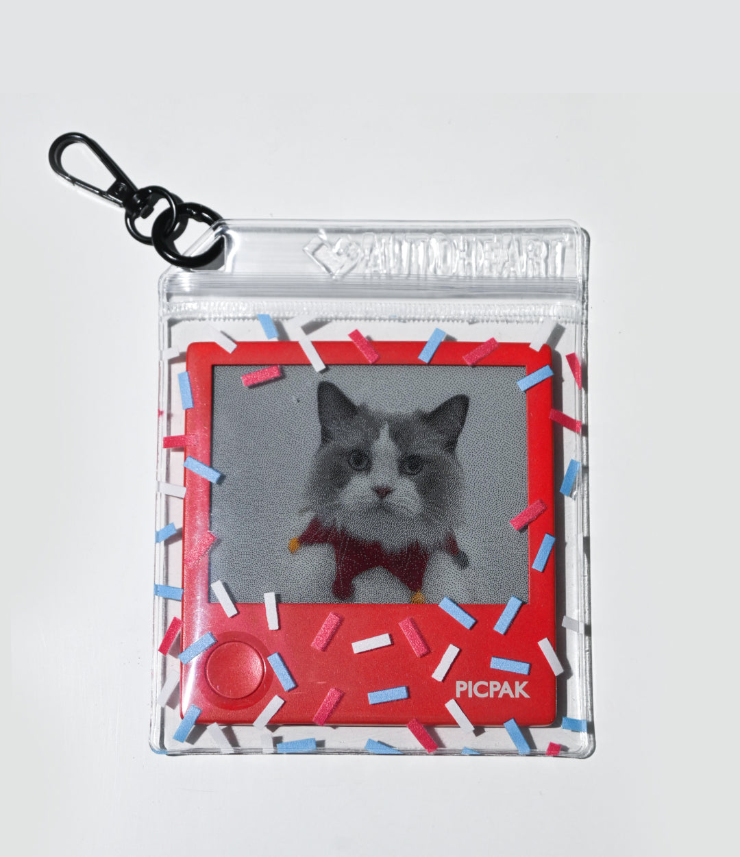 PicPak Transparent Carry Bag