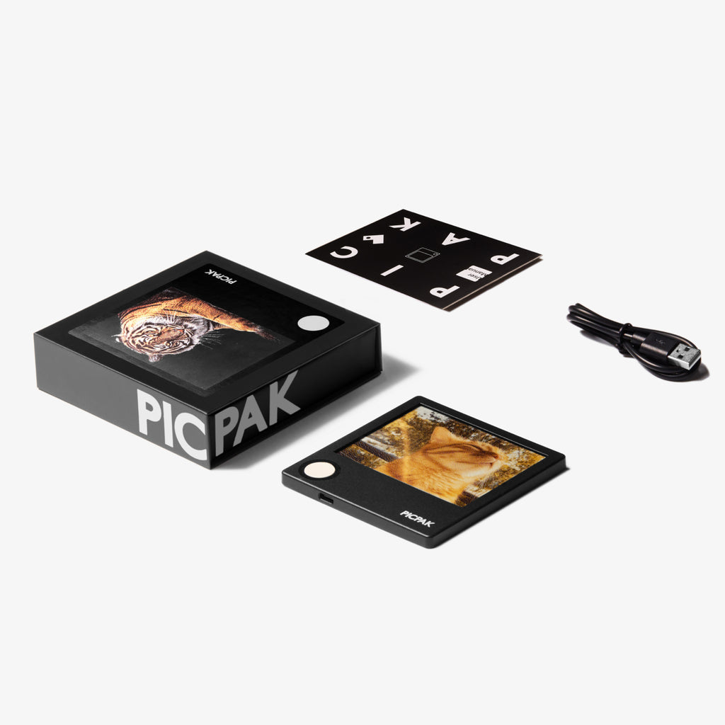 PICPAK Mini E-Ink Album