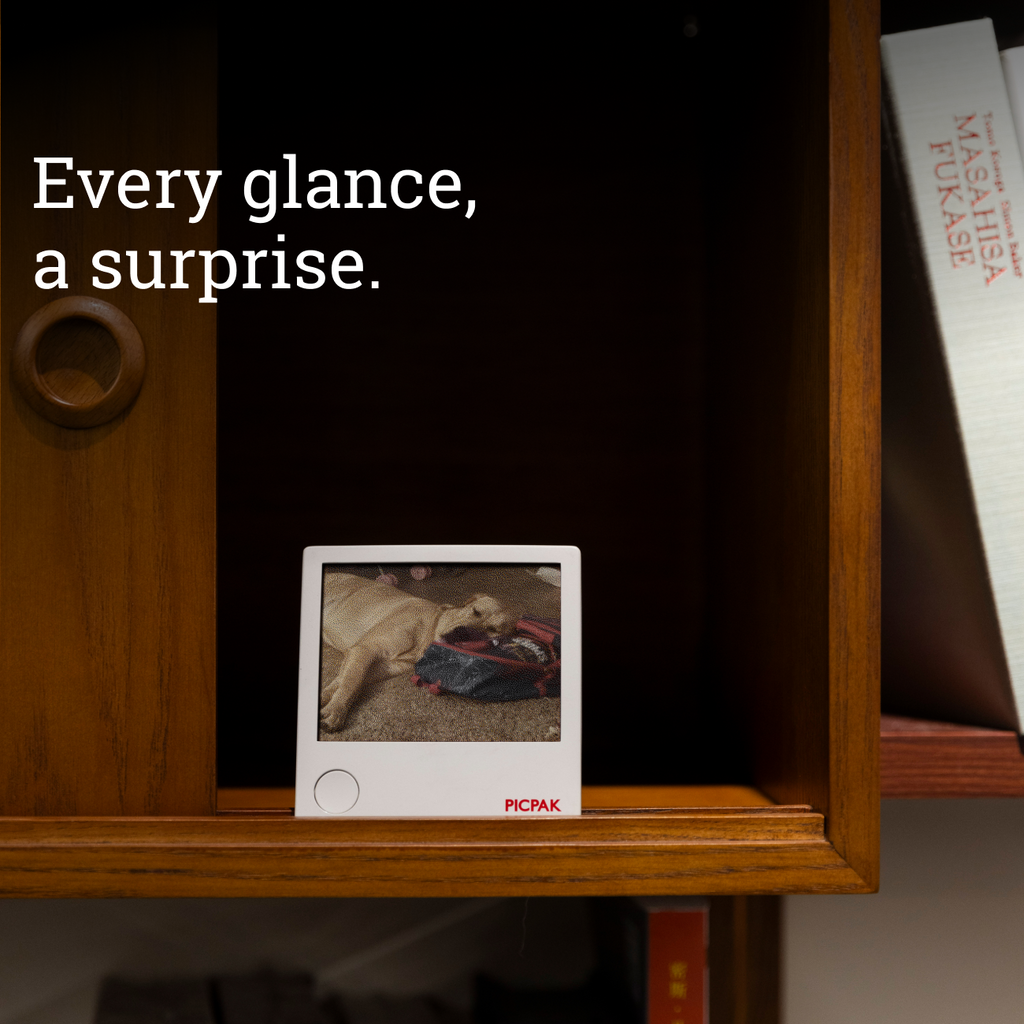 PICPAK Pocket-Size E-Ink Album