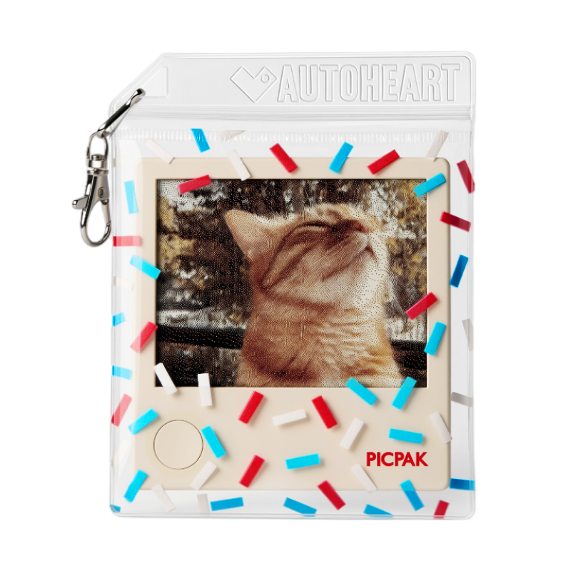PicPak Color Clear Pouch