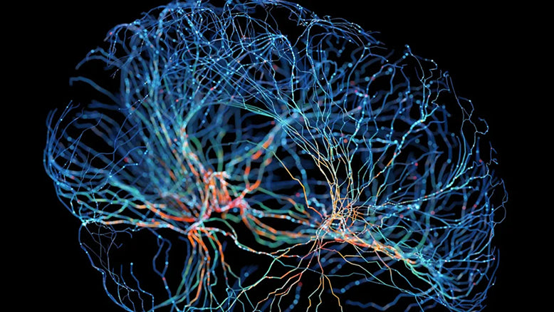 A glowing, abstract brain illustration with intricate blue, cyan, and orange neural networks on a solid black background.